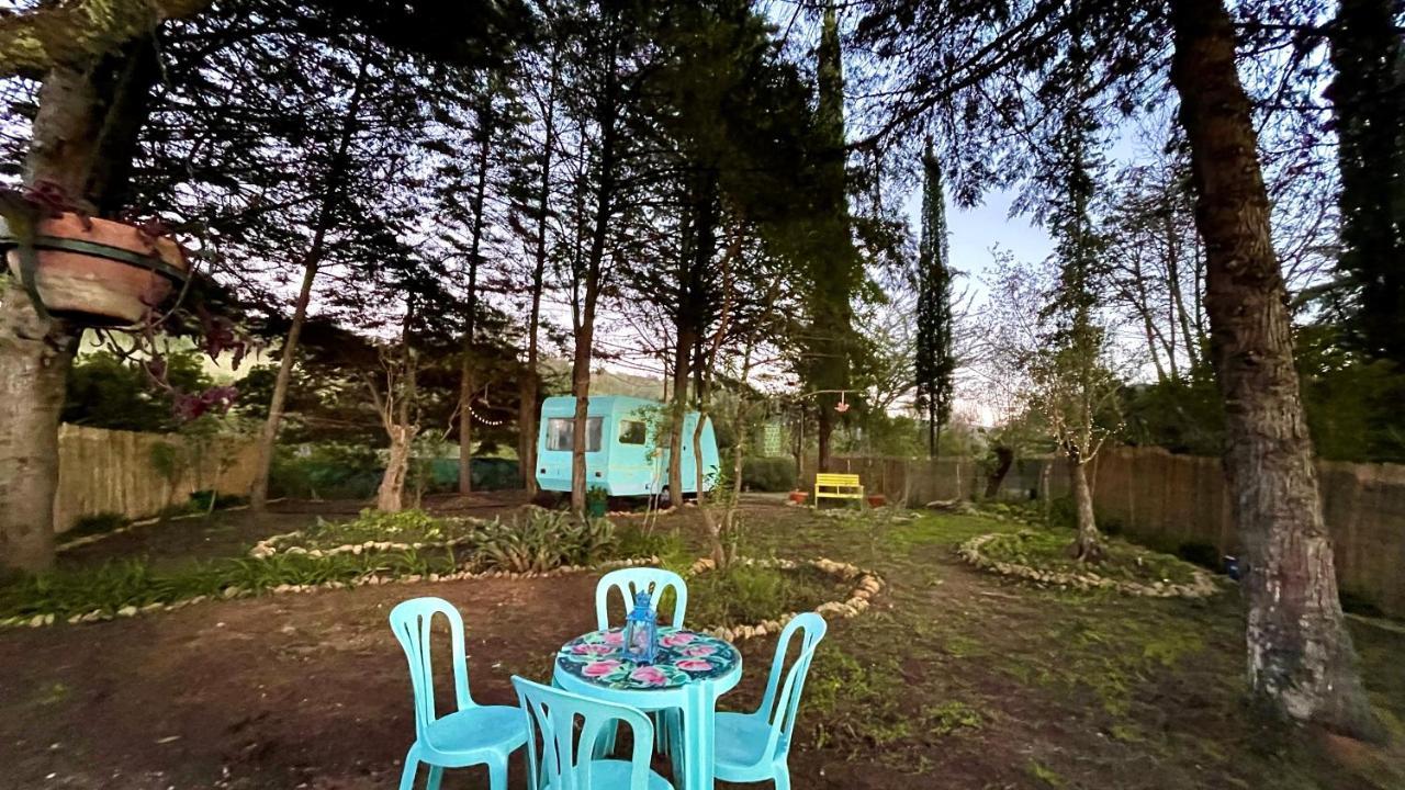 Ir Por Ai Arrabida Hotel Azeitao Bagian luar foto