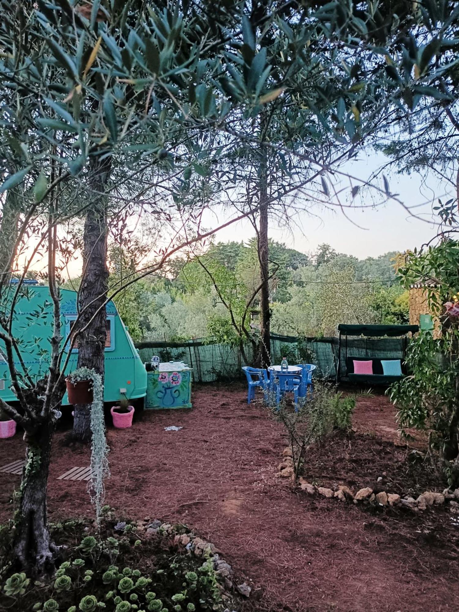 Ir Por Ai Arrabida Hotel Azeitao Bagian luar foto